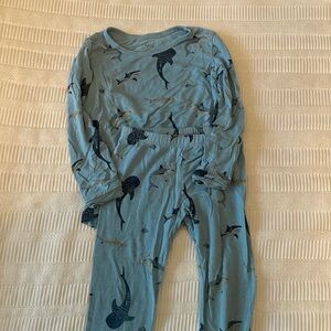 Kyte baby | long pajamas | 2t | stream shark